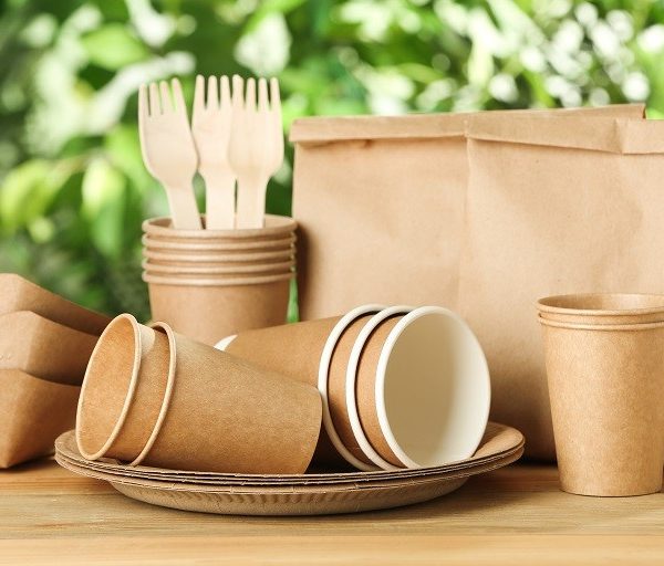 Eco-Friendly Solutions for Everyday Life: Reusable Bags, Packaging, and Storage Options